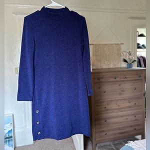 Banana Republic Long Sleeve mock neck knit mini sweater dress, petite small